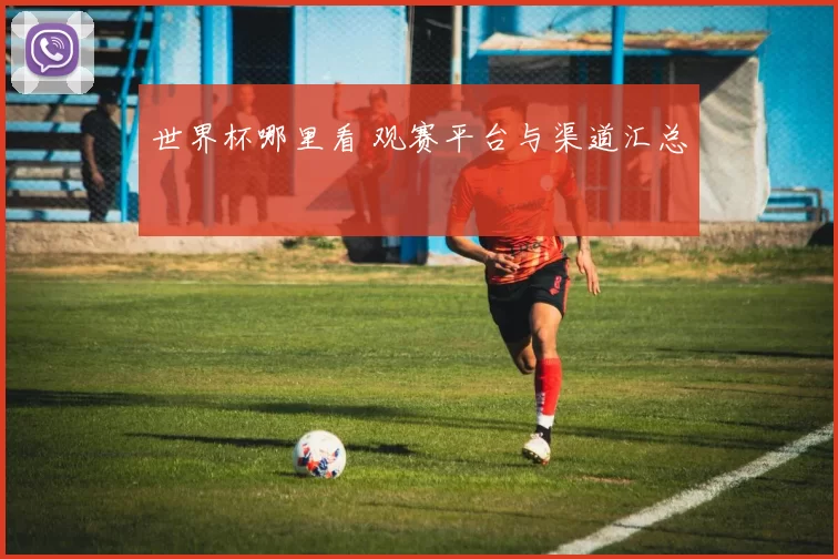 世界杯哪里看 观赛平台与渠道汇总