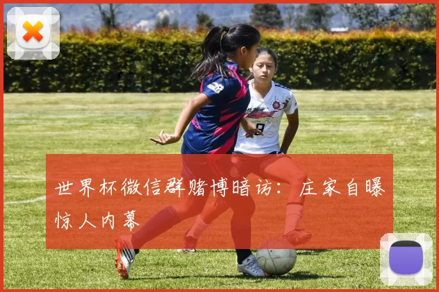 世界杯微信群赌博暗访:庄家自曝惊人内幕