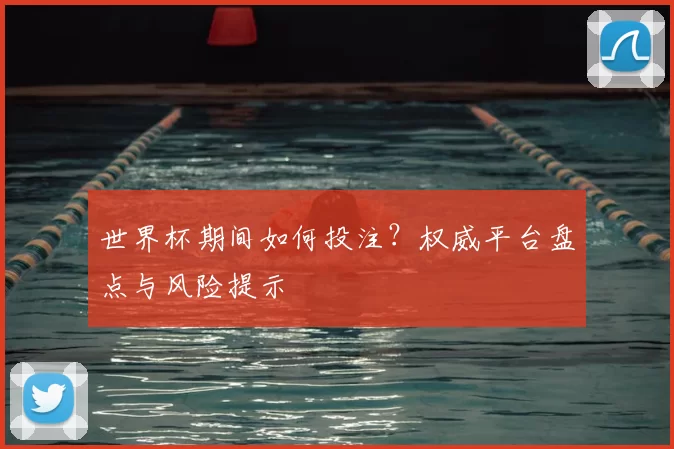 世界杯期间如何投注?权威平台盘点与风险提示