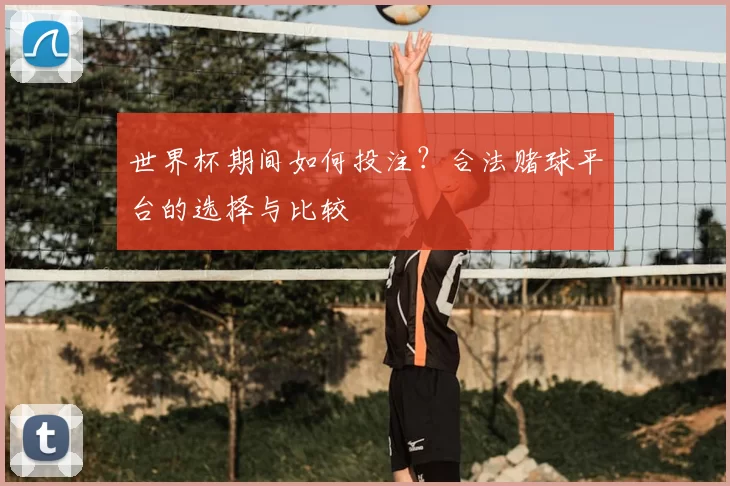 世界杯期间如何投注?合法赌球平台的选择与比较
