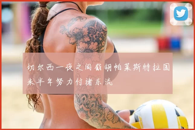 切尔西一夜之间截胡帕莱斯特拉国米半年努力付诸东流