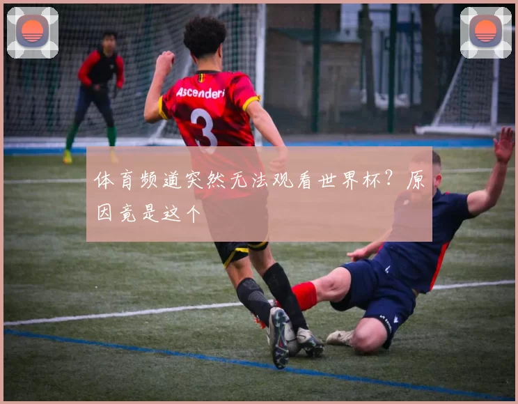 体育频道突然无法观看世界杯？原因竟是这个