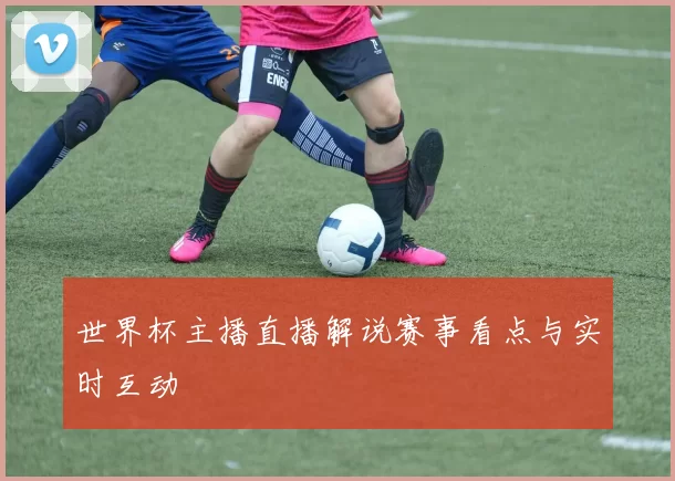 世界杯主播直播解说赛事看点与实时互动