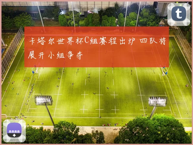 卡塔尔世界杯C组赛程出炉 四队将展开小组争夺