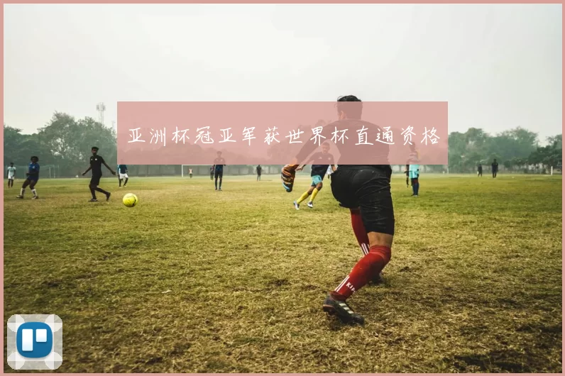 亚洲杯冠亚军获世界杯直通资格