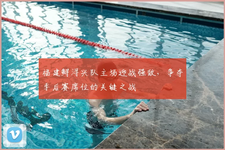 福建鲟浔兴队主场迎战强敌，争夺季后赛席位的关键之战
