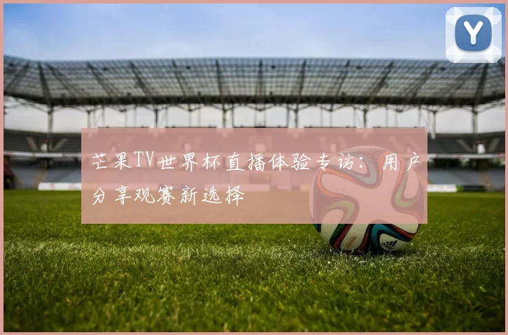 芒果TV世界杯直播体验专访：用户分享观赛新选择