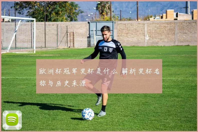 欧洲杯冠军奖杯是什么 解析奖杯名称与历史来源