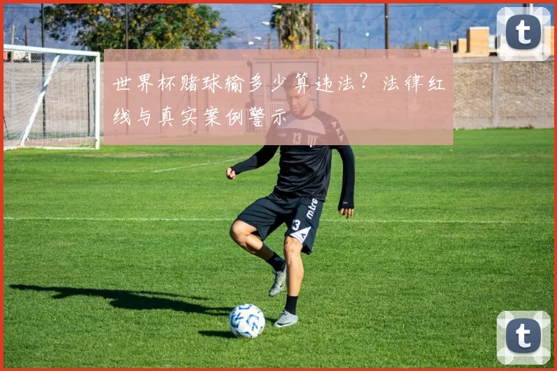 世界杯赌球输多少算违法?法律红线与真实案例警示