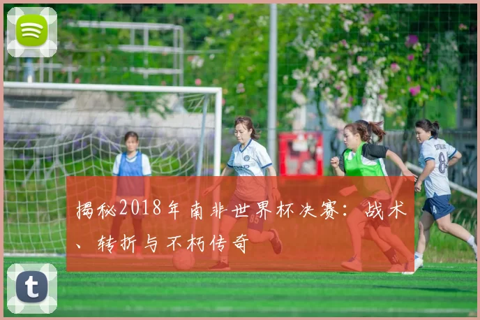 揭秘2018年南非世界杯决赛：战术、转折与不朽传奇