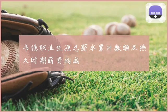韦德职业生涯总薪水累计数额及热火时期薪资构成