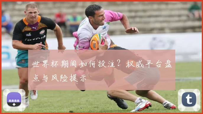 世界杯期间如何投注?权威平台盘点与风险提示