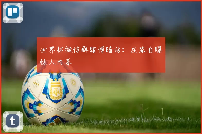 世界杯微信群赌博暗访:庄家自曝惊人内幕